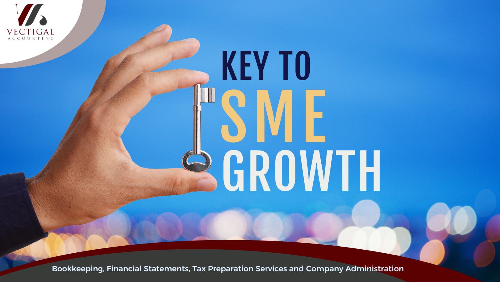 Vectigal Accounting (7)